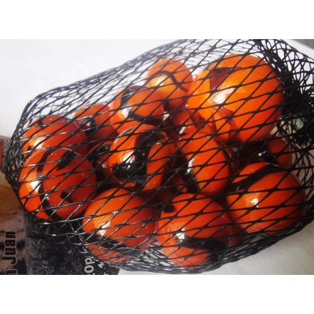 Animal Kigndom Benghal Tiger