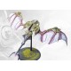 Spires: Pteraphon
