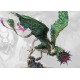 Weaver Courts: Scoth Draic (pronounced Sky Dry-Guh)