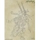 Archipretre