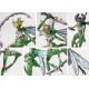Weaver Courts: Scalie Dancers (pronounced Skell)