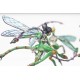 Weaver Courts: Scalie Dancers (pronounced Skell)