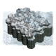 Arctic