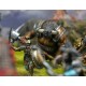 City States: Conquest First Blood New Edition Warband