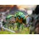 Weaver Courts: Gallowglass Warriors