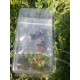 kit de 7 mini-dés métalliques classiques, Cuivre Rouge Ancien de 5mm