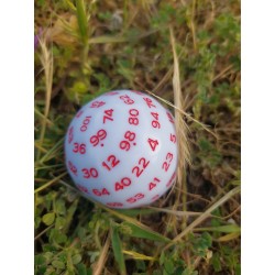 D100-white Opaque(Red Ink)