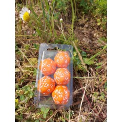 Blister De 5 D30 Orange Print Blanc