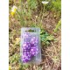 Blister De 5 D30 Violet Print Blanc