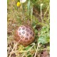 D100 Métallique Couleur Cuivre Rouge