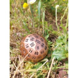 D100 Métallique Couleur Cuivre Rouge