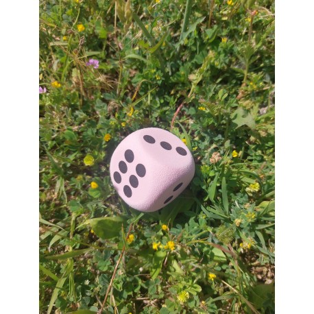 D6 Mousse EVA rouge , print noir 3,8cm de côté