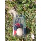 Cochonnet Boule De Pétanque