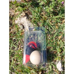 Cochonnet Boule De Pétanque