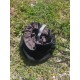 Grande Bourse velour noir 17,5 cm /31 cm multirangement