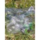 8 Rochets Peints Dans Sachet Plastique&nbsp;