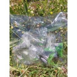 8 Rochets Peints Dans Sachet Plastique&nbsp;