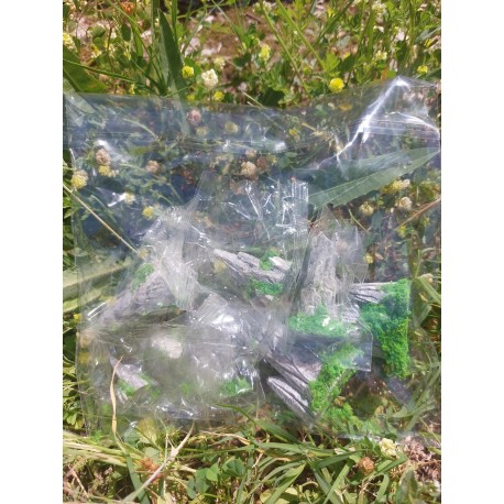 8 Rochets Peints Dans Sachet Plastique&nbsp;
