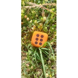 D6 Mousse Eva Orange. Print Noir 3.8cm De Côté