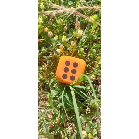 D6 Mousse Eva Orange. Print Noir 3.8cm De Côté
