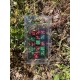 Blister De 16 Dés Marqueurs Pour Jcc De 12mm Paillette Vert Print Or. Rouge/marron Paillette Print Or
