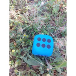 D6 Mousse Eva Bleu Roi. Print Noir 3.8cm De Côté