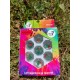 Blister Kit De 7 Des Transparent Coccinelle Incrustée . Print Vert