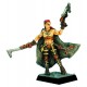 Champion elfe Noir