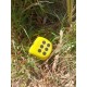 D6 Mousse Eva Jaune. Print Noir 3.8cm De Côté