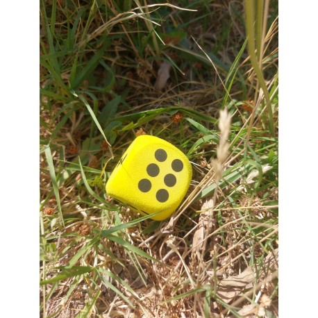 D6 Mousse Eva Jaune. Print Noir 3.8cm De Côté