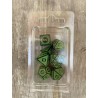 set de 7 dés motifs volutes opaque noirs et verts