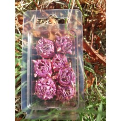 Kit De 7 Dés Métalliques Dragon Mine . Teinte Cuivre Rose