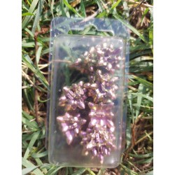 Kit De 7 Dés Métalliques Motif Cristaux . Teinte Métal Violet Doré