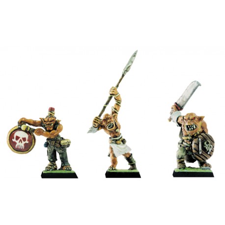Champion Ogre + Accessoires