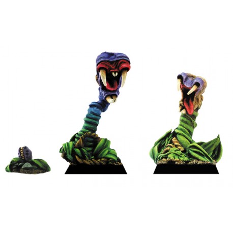 Plantes Carnivores II