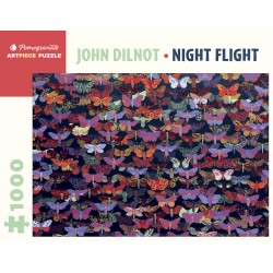 1000P John DILNOT- Night Fight