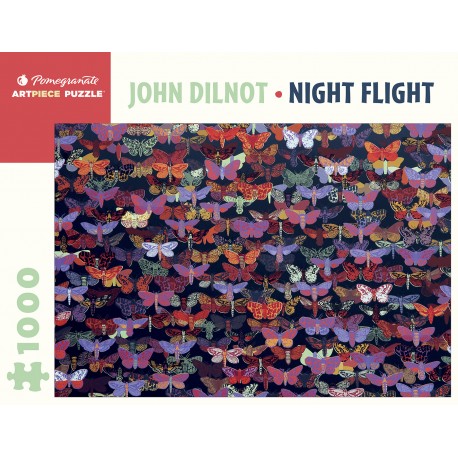1000P John DILNOT- Night Fight