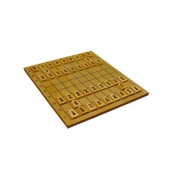 Shogi (échecs japonais)