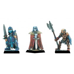 Anti-Paladins