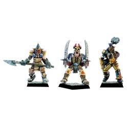Guerriers du chaos II