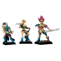 Mercenaires Elves II