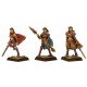 Guerrieres elfes Noires