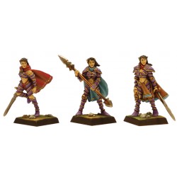 Guerrieres elfes Noires