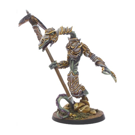 Champion Homme serpent