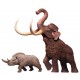Mammouth & rhinocéros Laineux