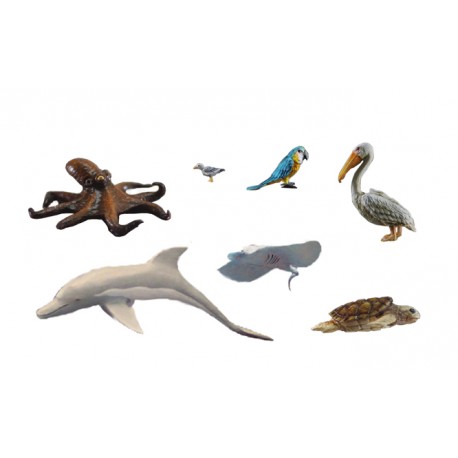 animaux des mers du sud