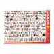 2000P Le Monde des Chats
