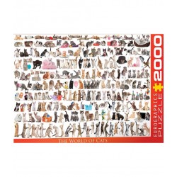 2000P Le Monde des Chats