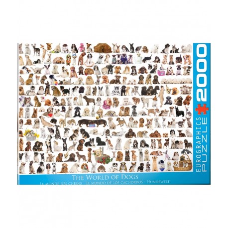 2000p Le Monde des chiens