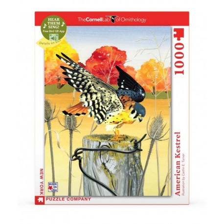 1000Pcs - Cornell Lab - American Kestrel